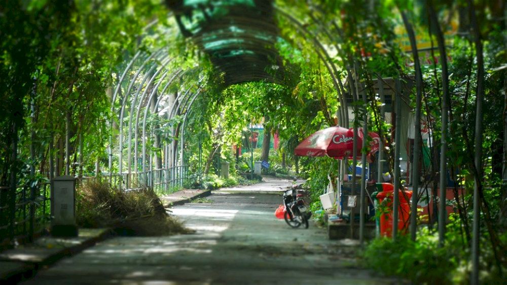 If you're looking for a break from the city's constant motion, there's no better place than this garden within the zoo grounds